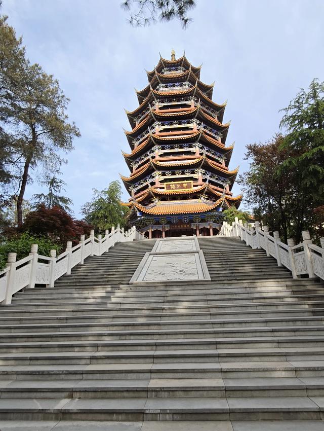重庆铁山坪森林公园轻徒步路线