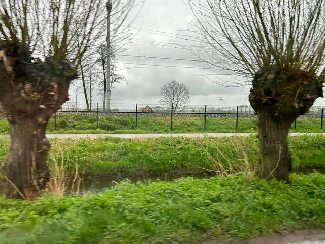 《再见，荷兰》