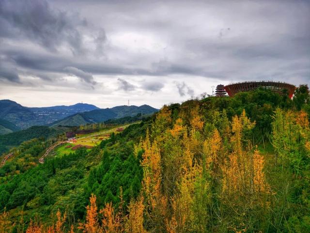 全部免费！成都6个赏红枫好去处推荐，美到犯规！