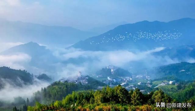 闯入罗霄之巅的绿色秘境