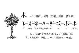 十天干象类取名法歪解图片