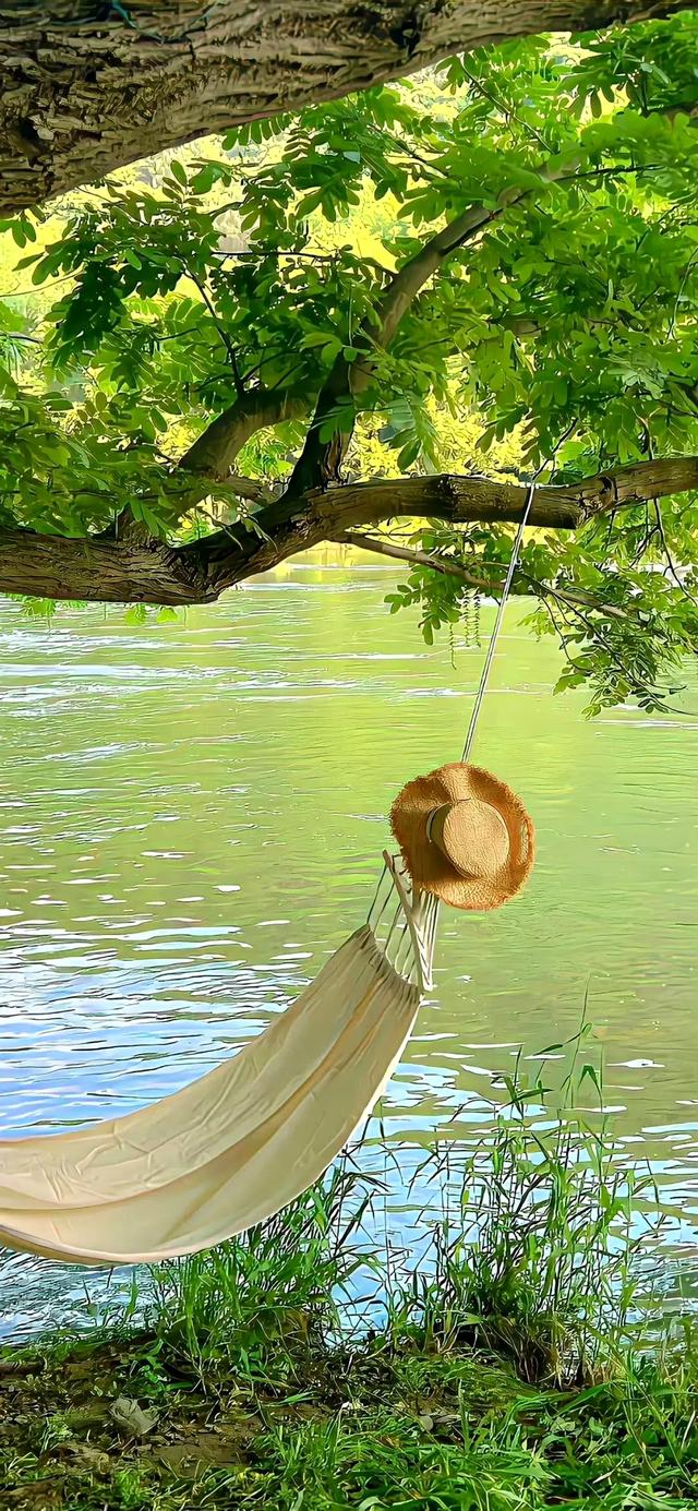 手机壁纸|春意盎然