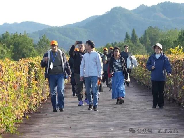 武平也走向“国际范”啦！11国林业专家齐聚千鹭湖，为了这件事……