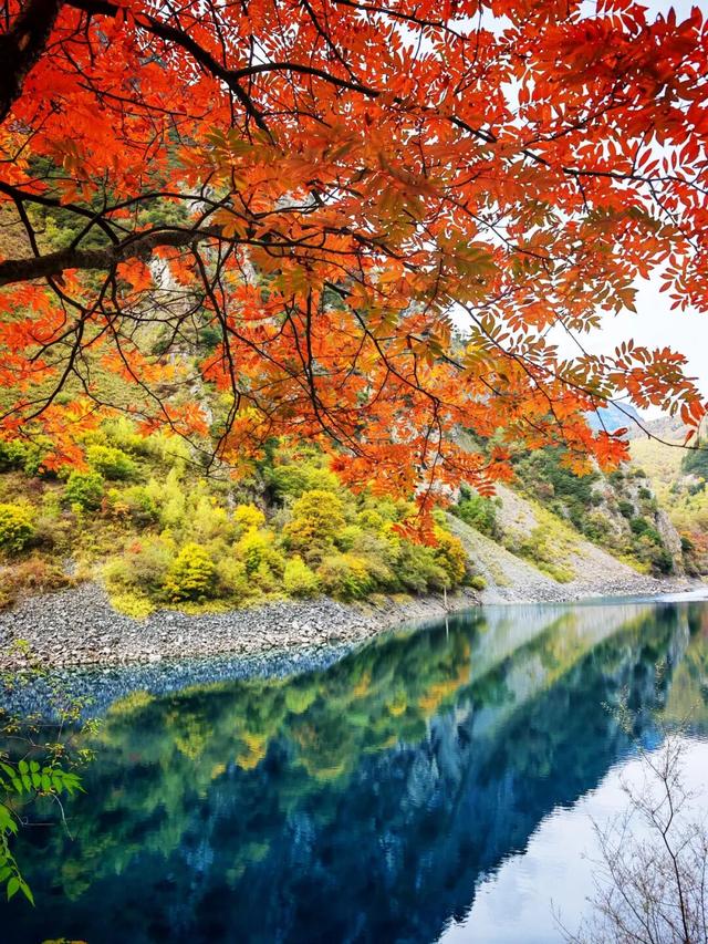 松坪沟彩林已“封神”！泡暖泉、赏非遗打铁花，这波三重盛宴错过等一年！