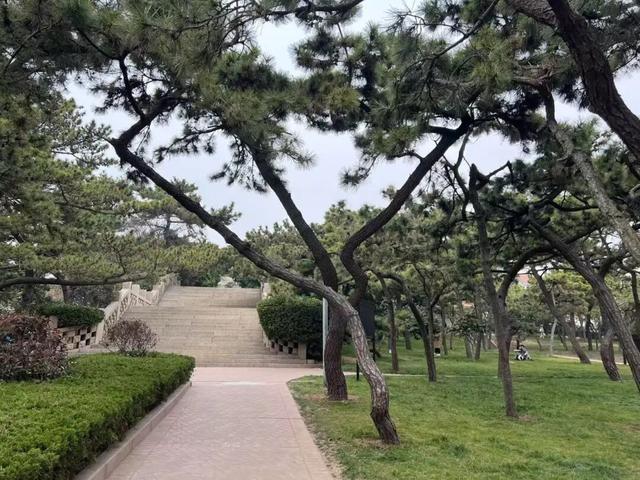 于市南，一日看尽海上花