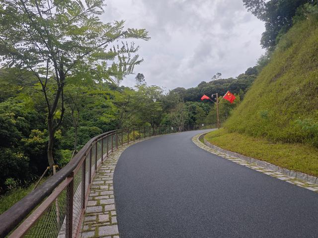 西丽湖国际科教城绿道高清随拍