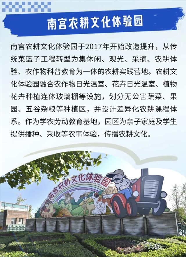 Country Walk丰台篇：在花乡与南宫之间，邂逅冬日双重浪漫