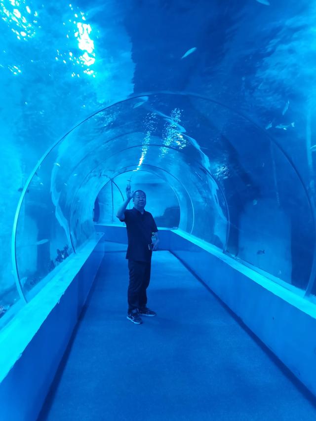 又是半年去兰州新区
