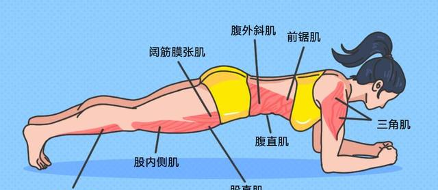 平板支撑60秒相当于跑步多远？做平板支撑有哪些好处？