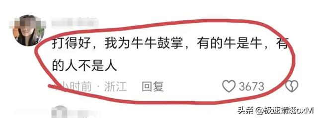 五台山牛群攻击游客反转！疑景区甩锅"挑衅"，当事人曝更多细节