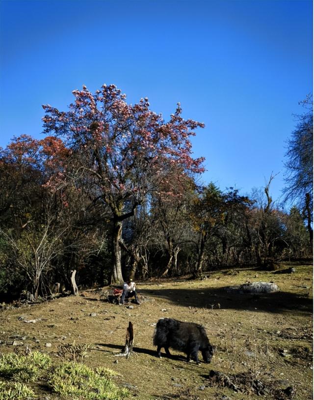 雨崩，一个让人语崩的地方（二）冰湖，上帝的最后一滴眼泪