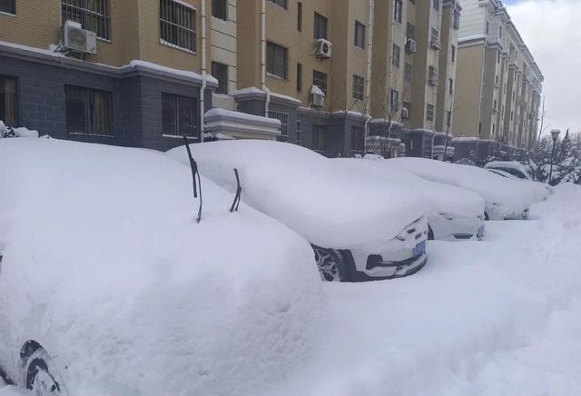 “超级冷冬”是真是假？专家一句话点破：今年冬天最可怕的不是冷