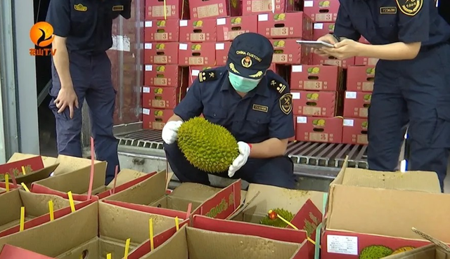 失去中国市场后，大量水果烂地里卖不出去，如今开始后悔得罪中国