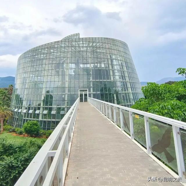 初冬出片C位！昆明这个地方必须榜上有名，周末抓紧冲~