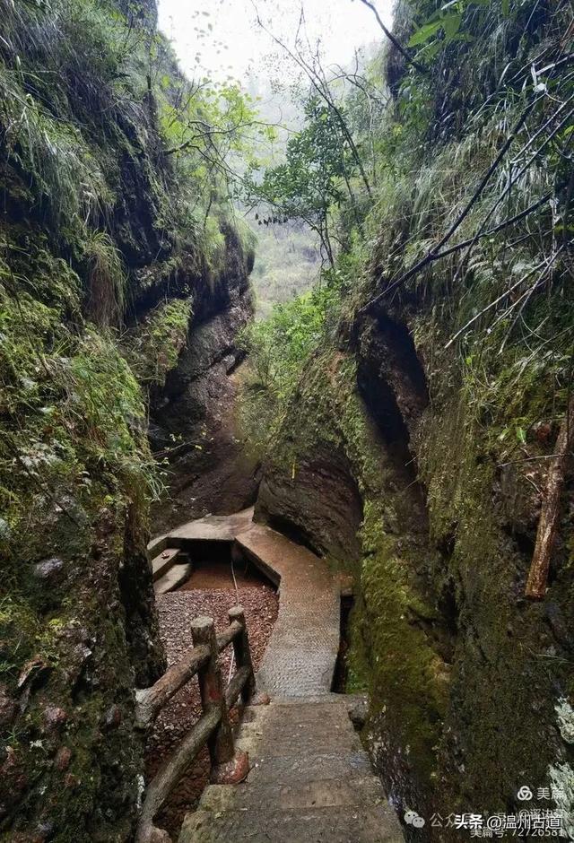 浙江这条风光奇绝适合新手小白的徒步线路，值得推荐！