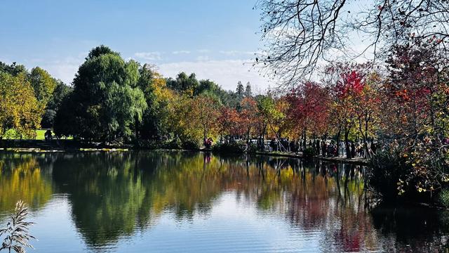 燕雀湖畔，红衫织就的秋日绮梦