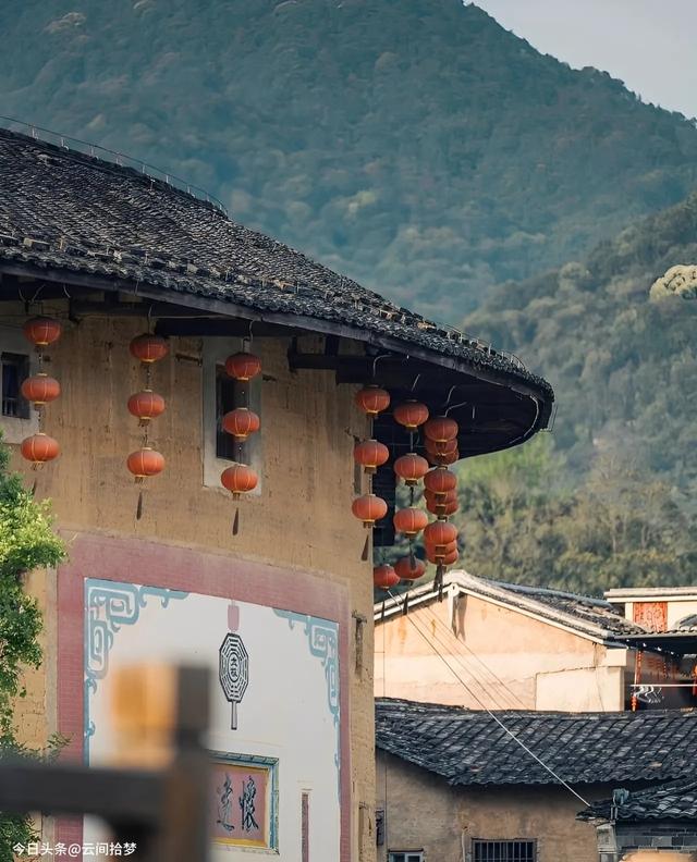这座 600 年古镇，治愈力远超厦门！百年榕树下，畅享悠然慢时光