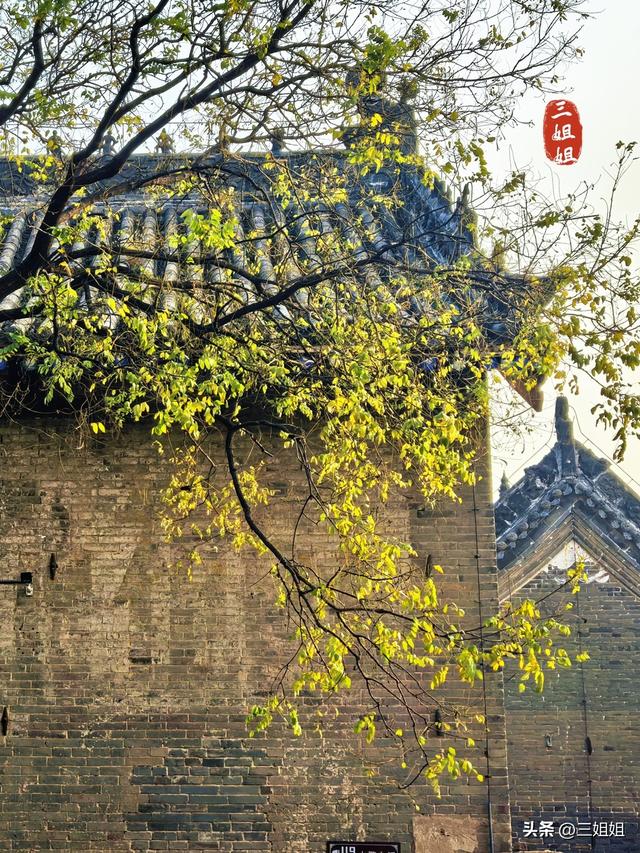 初识周口，三天穿越六千年历史