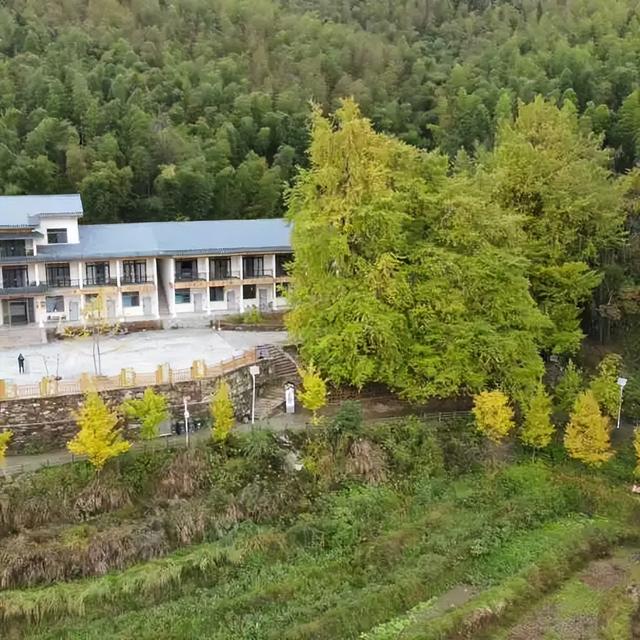 邵阳人藏不住的秋冬快乐！这些“金色浪漫”，@所有人来约！