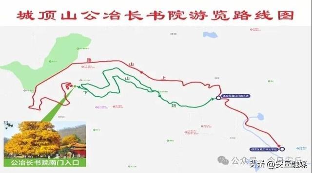 巨美！潍坊安丘这里即将迎来最美观赏期！别错过！