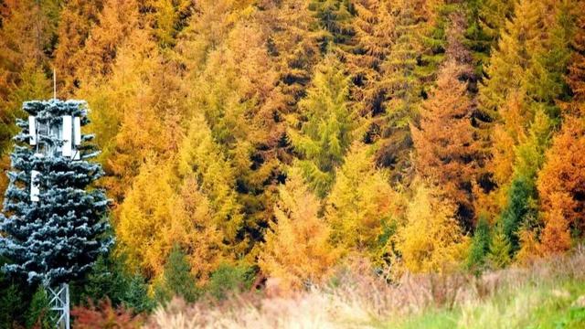 神木垒&达瓦更扎进入美貌开挂模式，请做好相关旅游准备！