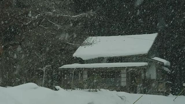 适合初冬做的20件小事