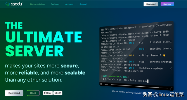 Nginx 和 Caddy Server 对比：优劣势分析和应用场景