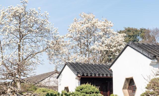 3-4月春游宝地，这6个地方，风景繁密，适合踏春