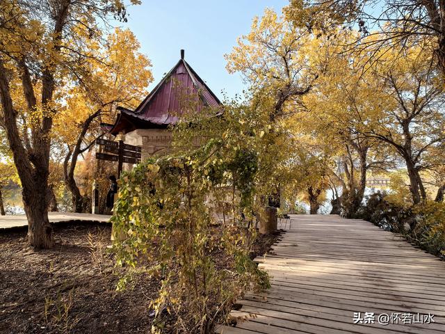 2025环南疆沙漠铁路背包自由行日记(6)---游览巴楚红海胡杨林景区