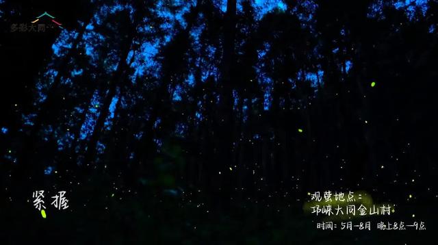 成都以西的隐秘小村，赏萤火虫、溪涧踩水、探秘溶洞…1.5h刹拢！