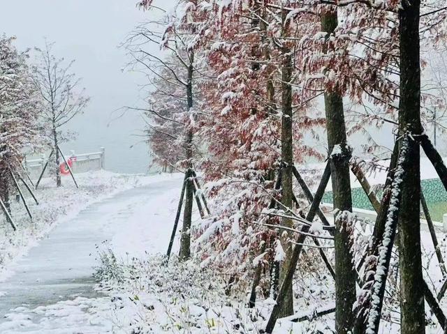 雪҈ 雪҈ 雪҈ 太美啦！快接住这“泼天”的雪白浪漫！