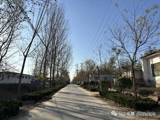 冠县乡韵·贾镇洼里村