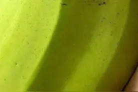 笑一笑，35张搞笑动图：这根香蕉，吃一根就有点饱，惊呆了！图片