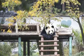 体制内十个冷门单位，钱多事少幸福感高，许多人根本没听说过！图片