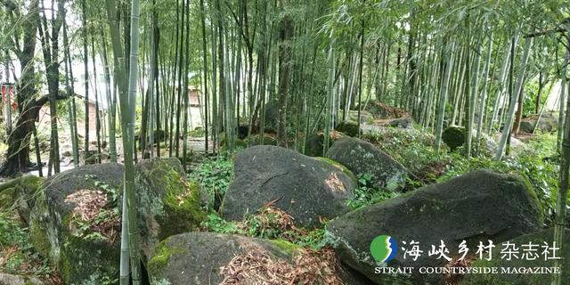 【金牌旅游村】福建｜建宁县高峰村：云上梯田 莲乡古道