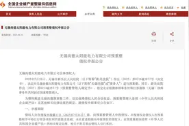 昔日全球光伏龙头无锡尚德再次破产重整图片