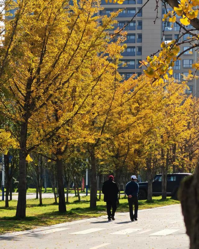 【新年絮语】陆良培芳医院之美