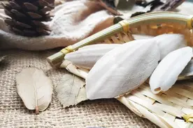 月经不规律，来了就不走？气虚漏经必看此方（附方）图片