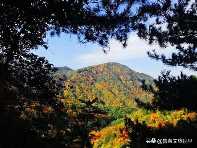 光雾山：川陕腹地的红叶秘境与千年回响