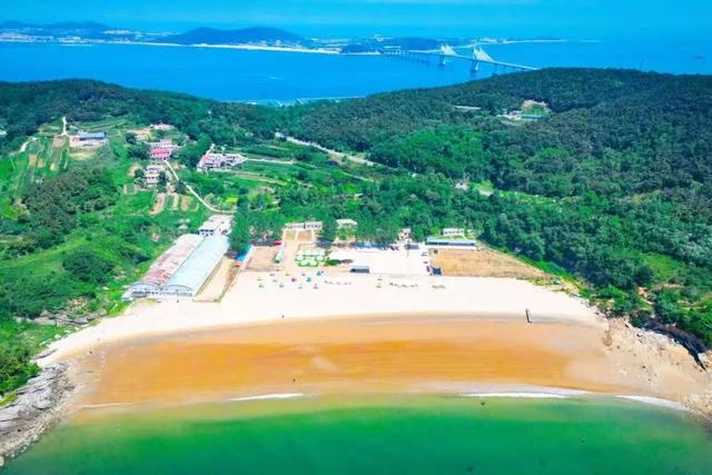 大连这种玩法，《东方时空》探访，全国游客点赞！