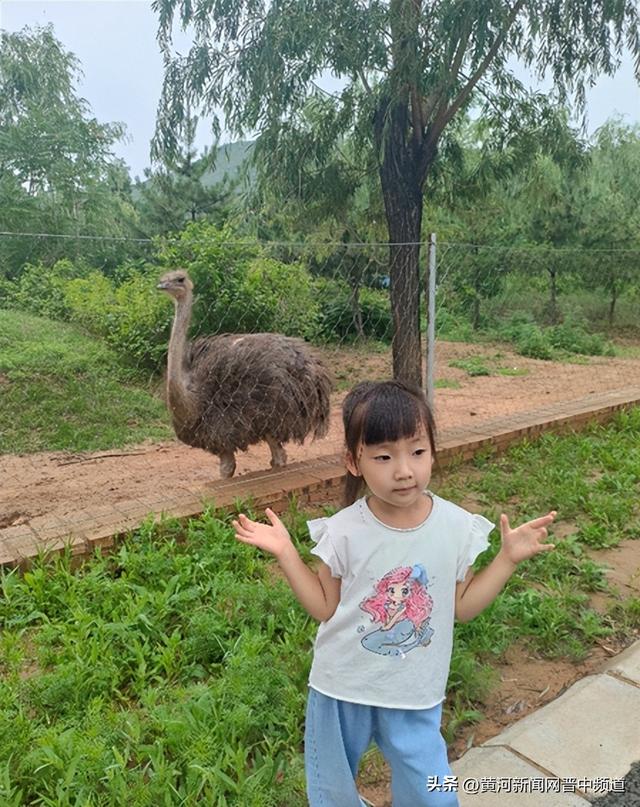 （征文）榆次区第十六幼儿园李佳滢：乌金山欢乐谷最美的一天