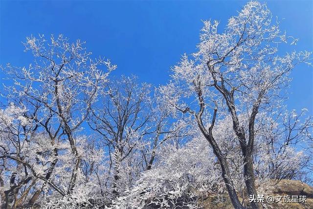 鸡公山入冬成“冰雪仙境”！雾凇压枝、冰挂垂帘