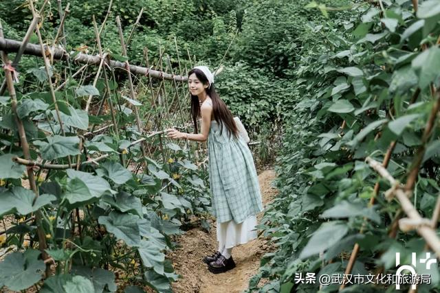 端午趣游计划，H+喊你来放“粽”小长假
