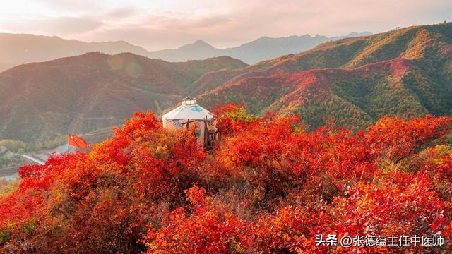 霜降时节对家乡红叶的遐思
