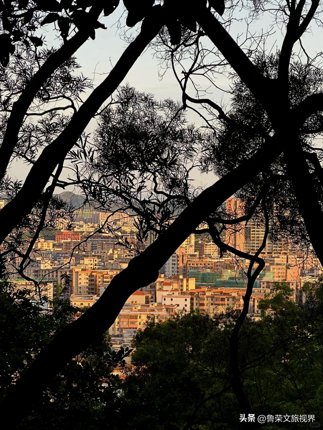 隐匿在广东的冬日秘境：恩平，一座20℃暖冬里的温柔小城