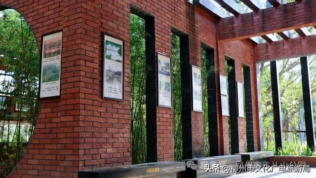 别等空调房！雀儿山公园已备好天然“冷气”~