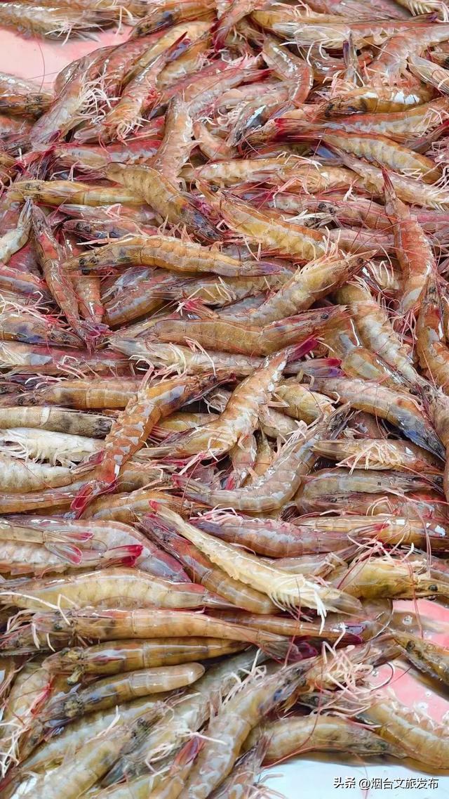 【乐游烟台】目测要火！烟台这座小城最近好看得离谱