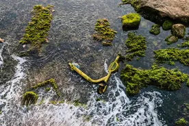 为什么不能长期待在家里？3个原因告诉你答案图片