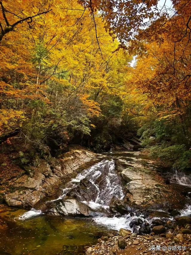 晨光下,米仓山的秋色在眼前一点点展开
