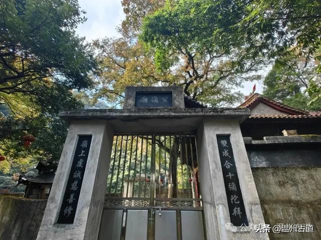 温州这两条知名红枫古道已经红啦!周末是最佳观赏期,不要错过!